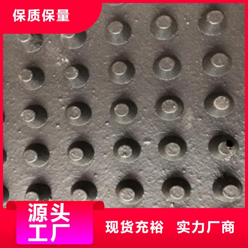 塑料排水板三维植被网一站式供应厂家