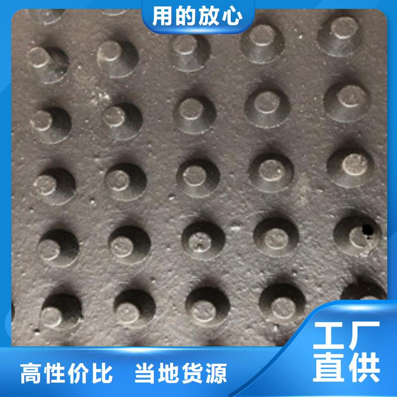 塑料排水板三维植被网工期短发货快