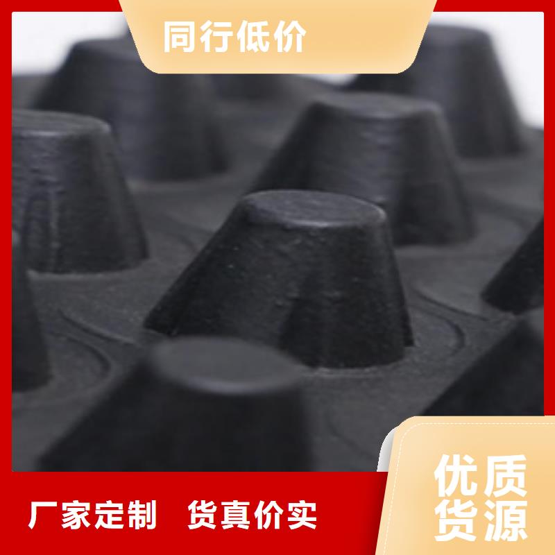 塑料排水板三维植被网一站式供应厂家
