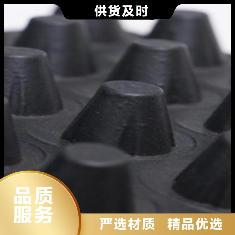 塑料排水板三维植被网工期短发货快