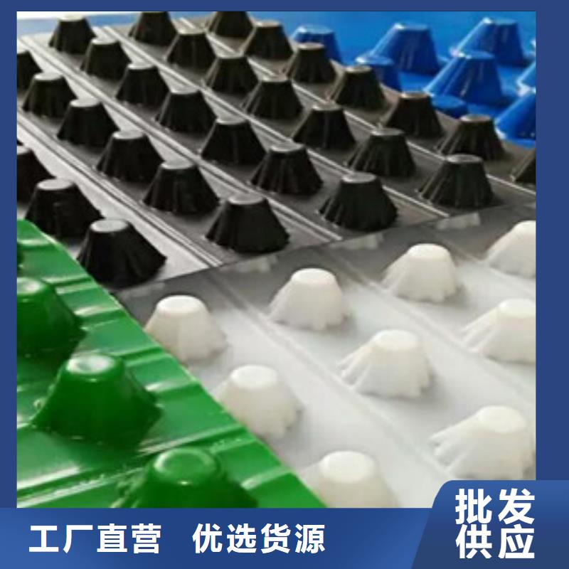 塑料排水板三维植被网工期短发货快