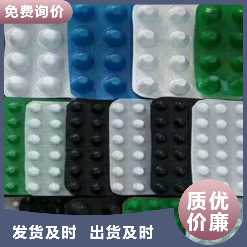 塑料排水板三维植被网工期短发货快