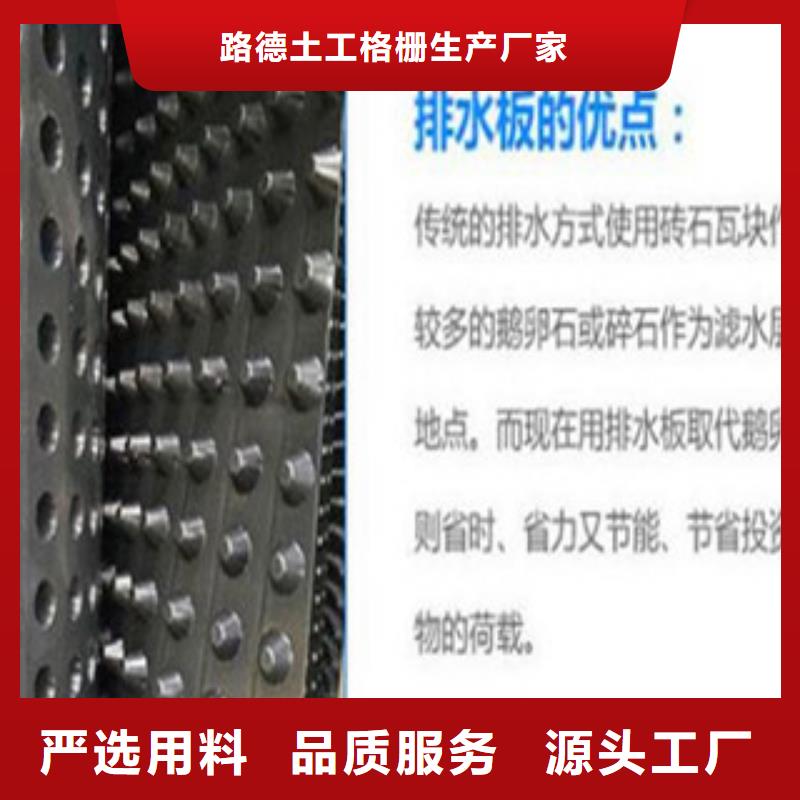 塑料排水板三维植被网工期短发货快