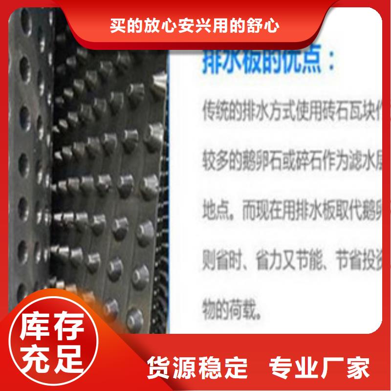 塑料排水板三维植被网一站式供应厂家