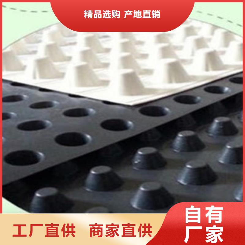 塑料排水板三维植被网工期短发货快
