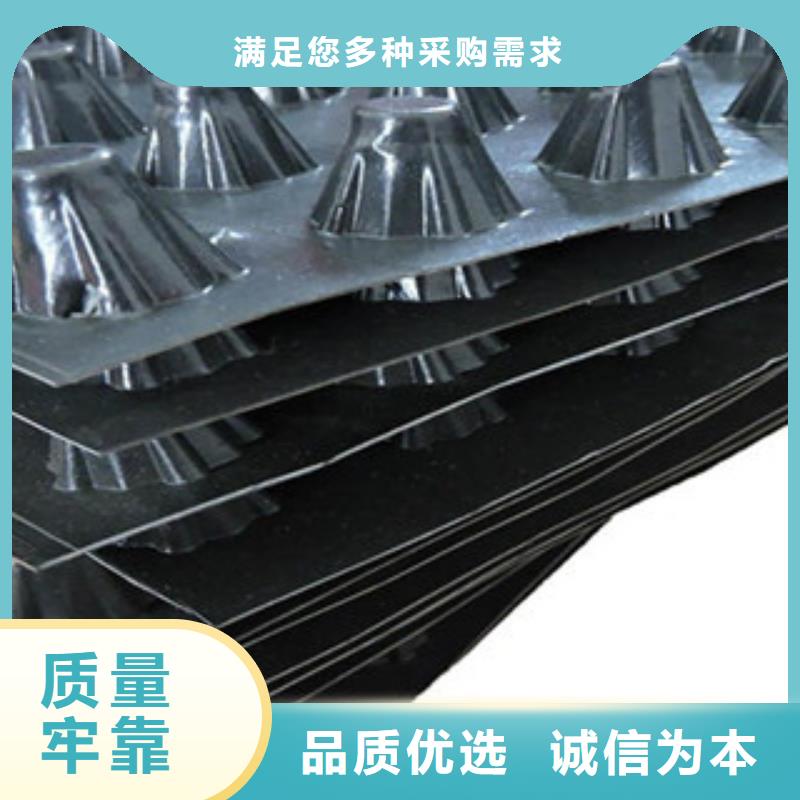 塑料排水板三维植被网工期短发货快
