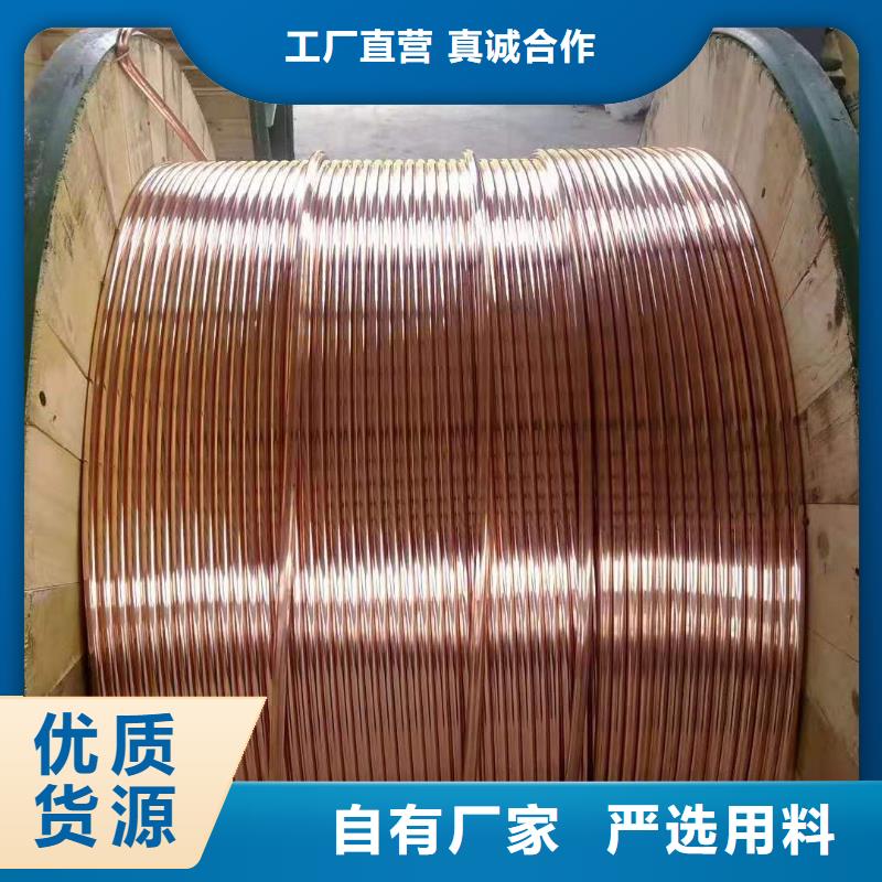 铜绞线图片生产有现货