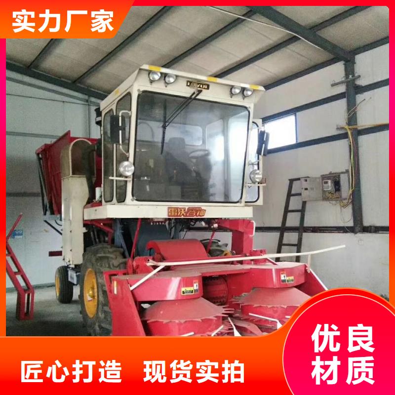 青储机罗威纳犬货源足质量好