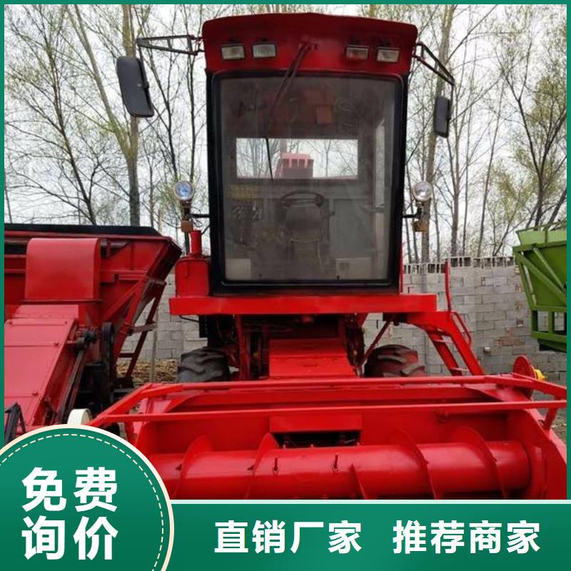 青储机罗威纳犬货源足质量好