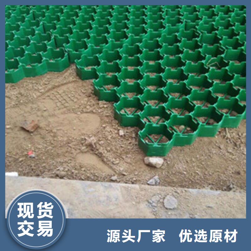 环保植草格-排水板厂家经销商