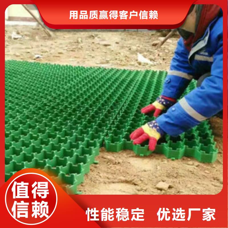 环保植草格_排水板厂家应用广泛