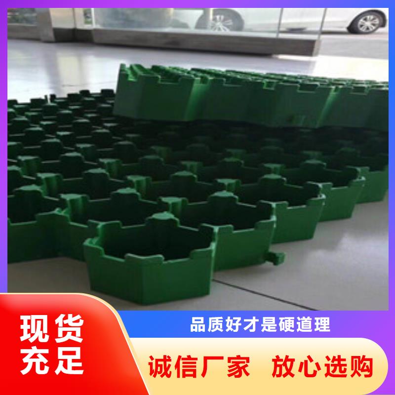环保植草格_排水板厂家应用广泛