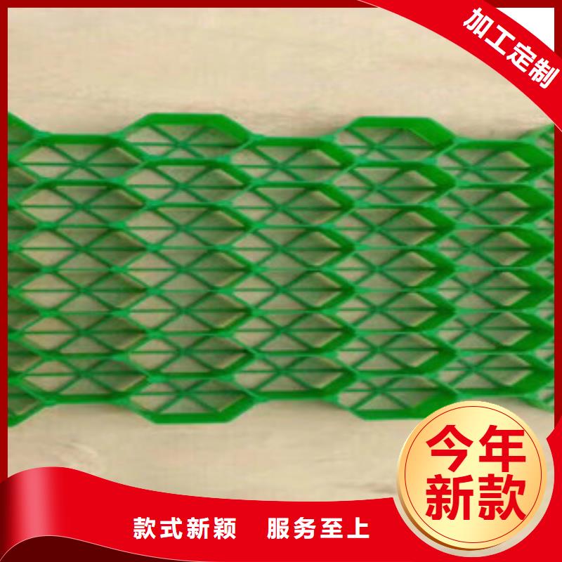 环保植草格_土工布厂家售后服务完善