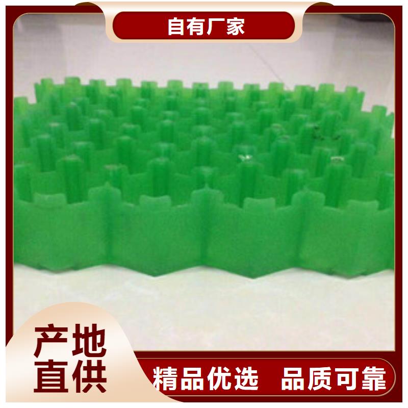 环保植草格土工膜厂家精品优选