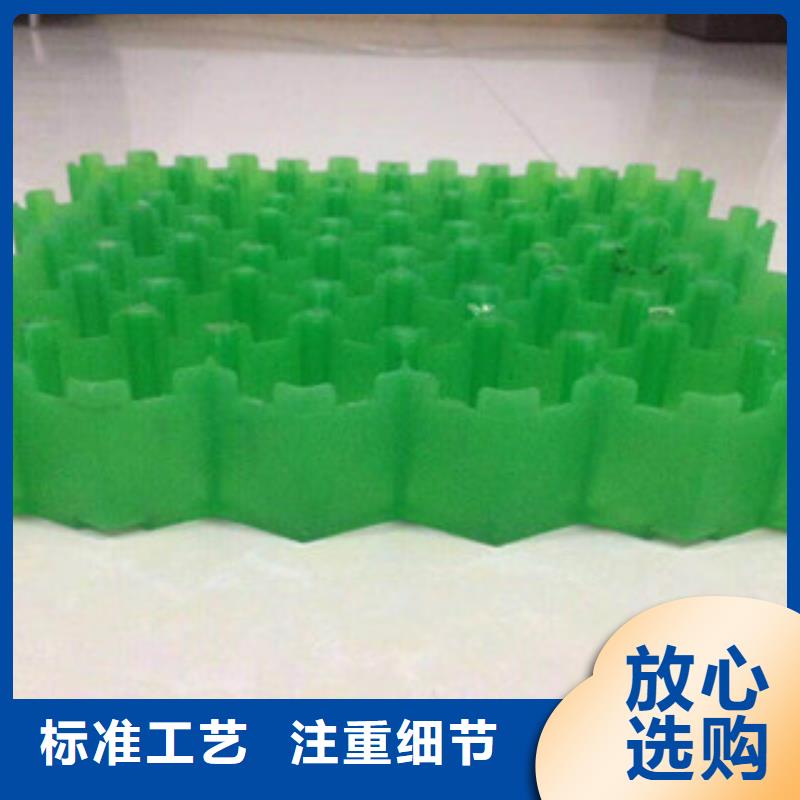 环保植草格蓄排水板厂家您身边的厂家