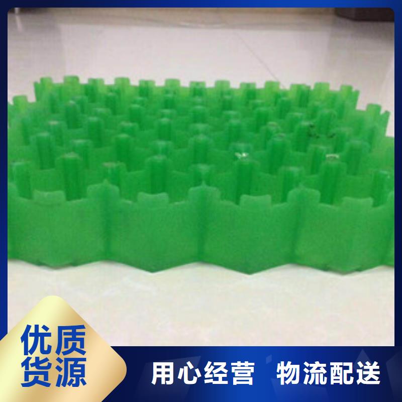 环保植草格_土工布厂家售后服务完善