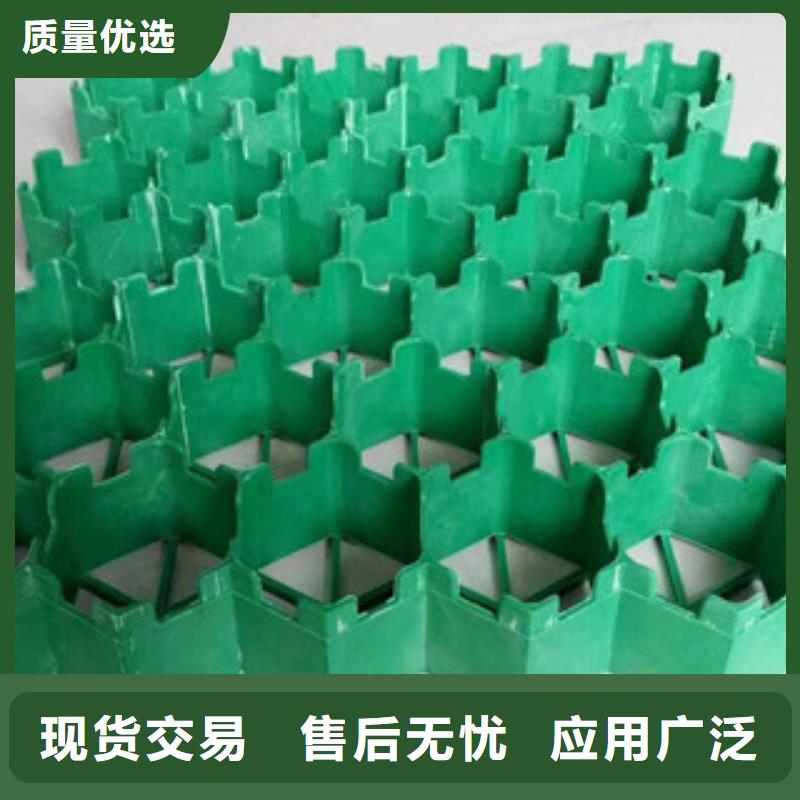 环保植草格_排水板厂家应用广泛