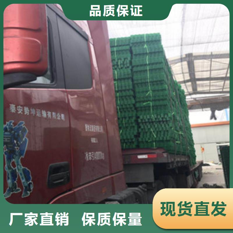 环保植草格土工膜厂家精品优选