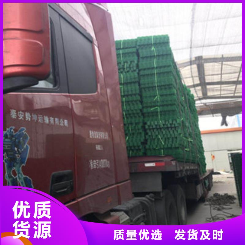 环保植草格蓄排水板厂家您身边的厂家