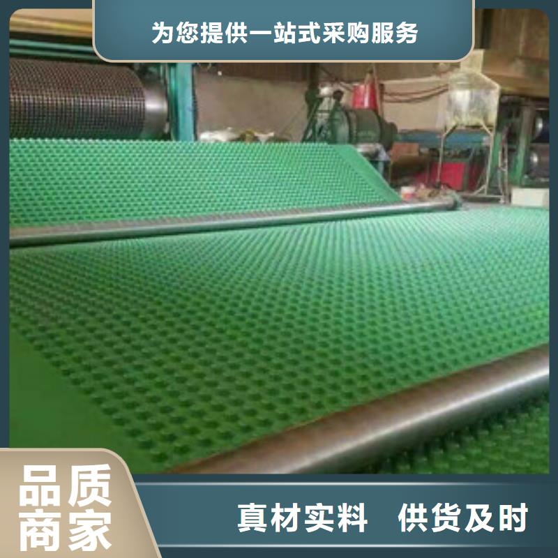 塑料排水板_土工布厂家质量上乘