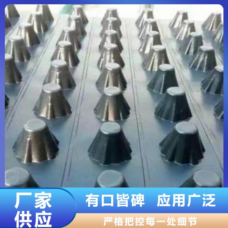 塑料排水板膨润土防水毯厂家厂家实力大