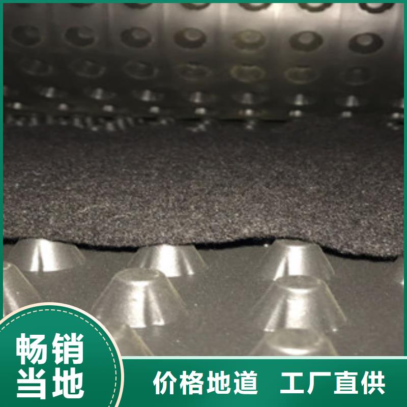 塑料排水板蓄排水板厂家客户满意度高
