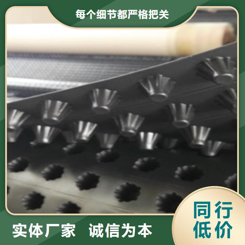塑料排水板无纺布厂家品质有保障