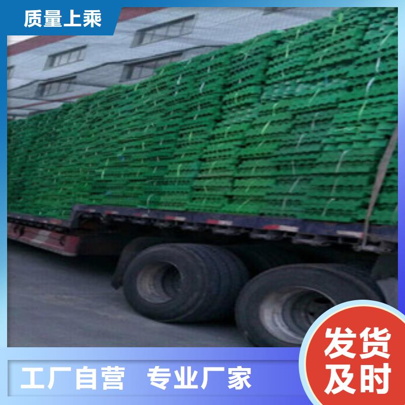 植草格排水板厂家工艺层层把关