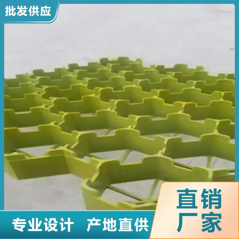 植草格_蓄排水板厂家厂家十分靠谱