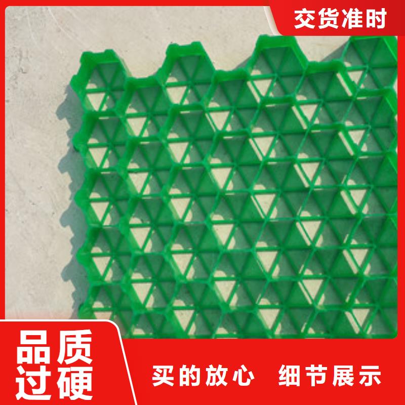 植草格_蓄排水板厂家厂家十分靠谱