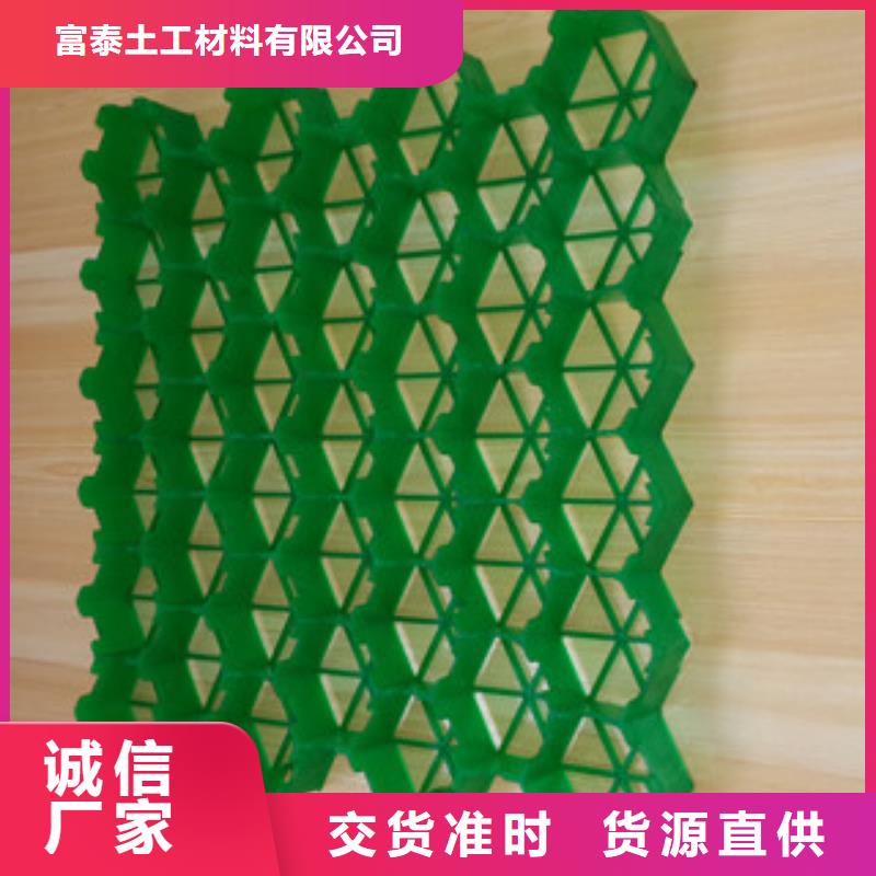 植草格_蓄排水板厂家厂家十分靠谱