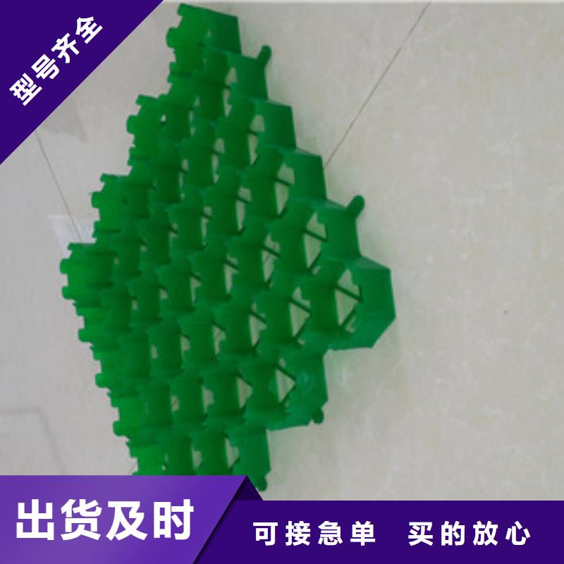 植草格_蓄排水板厂家厂家十分靠谱