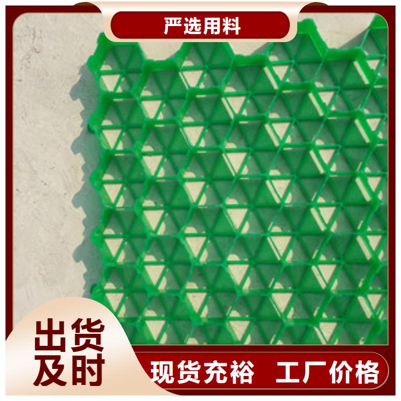 植草格_蓄排水板厂家厂家十分靠谱