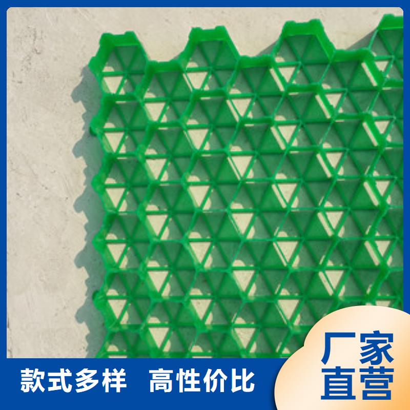 植草格土工膜厂家来电咨询