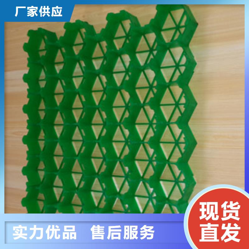 植草格_蓄排水板厂家厂家十分靠谱