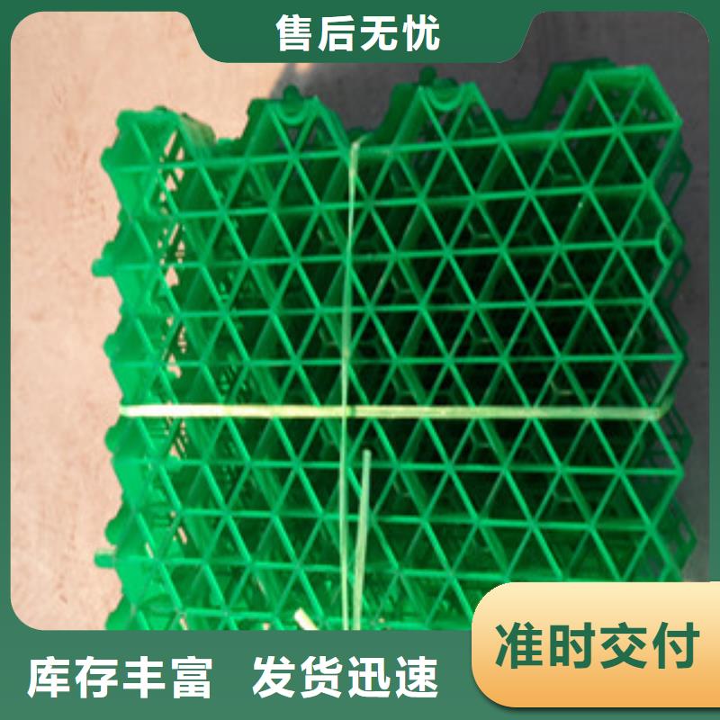 植草格_蓄排水板厂家厂家十分靠谱