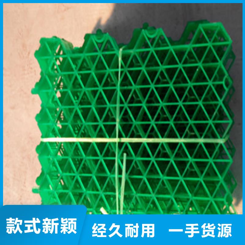 植草格_蓄排水板厂家厂家十分靠谱