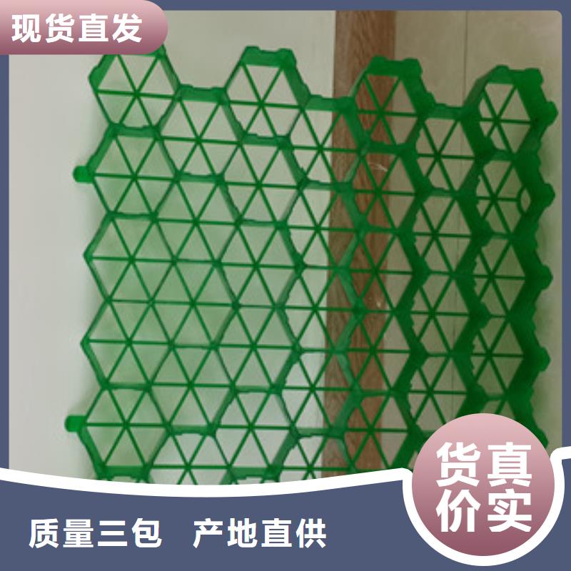 植草格_蓄排水板厂家厂家十分靠谱