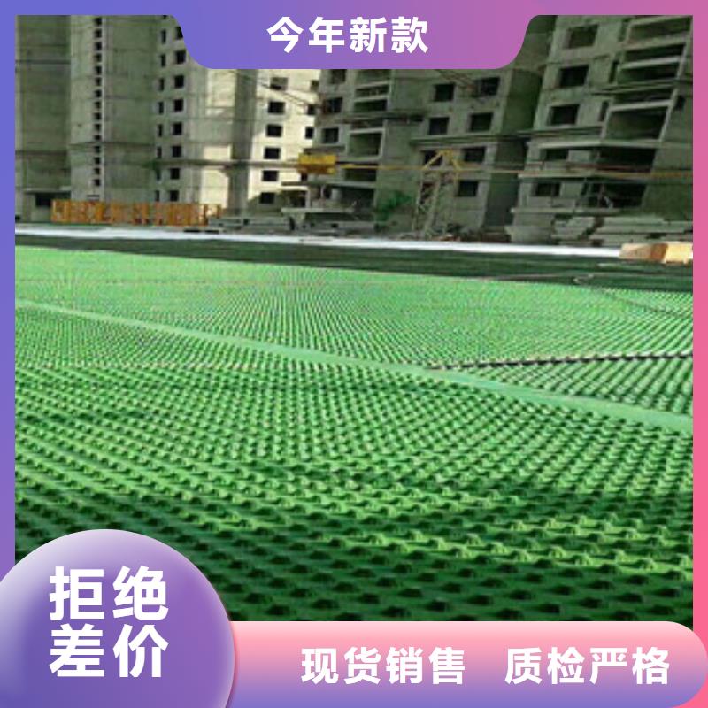 排水板-蓄排水板厂家大量现货