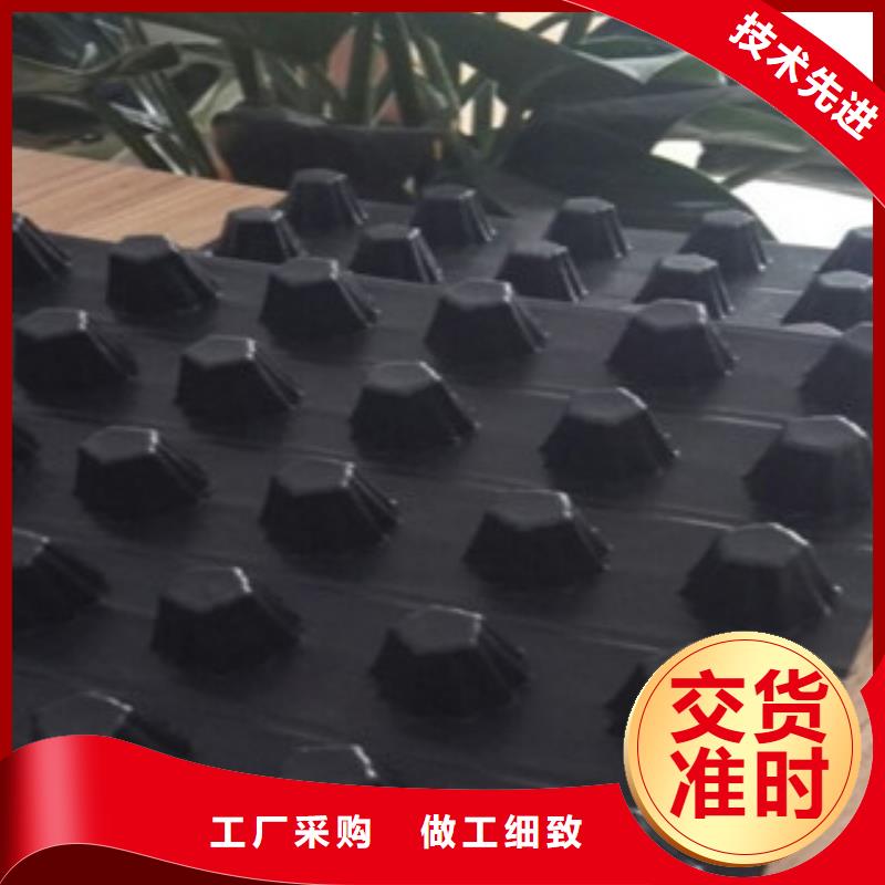 排水板生态袋厂家实力商家