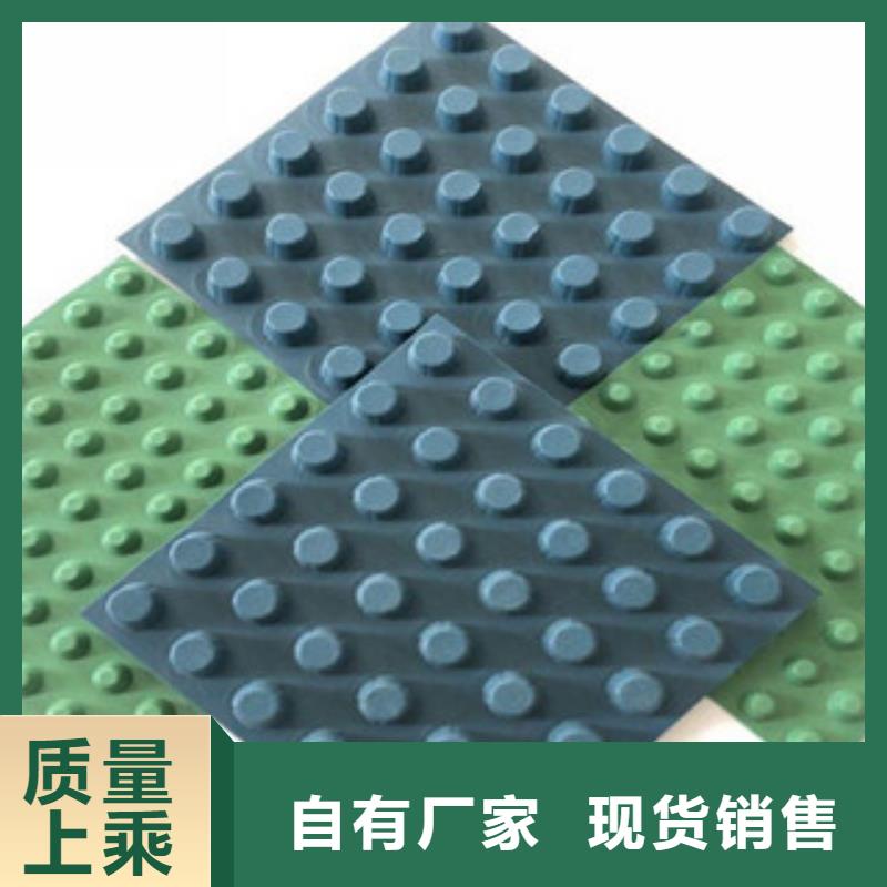 排水板-蓄排水板厂家大量现货