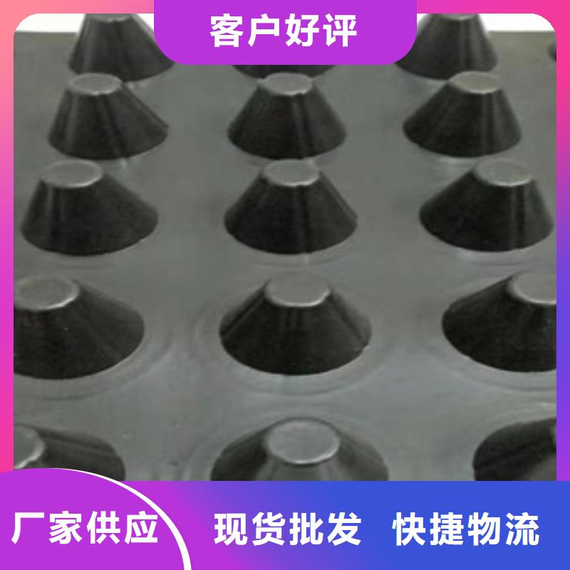 排水板-蓄排水板厂家大量现货