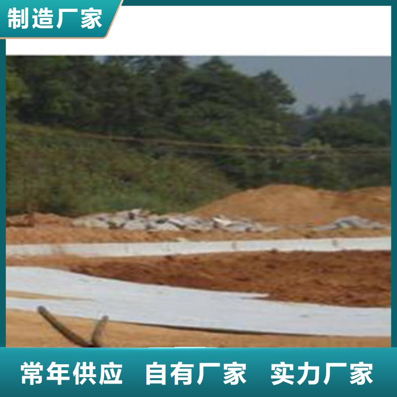 防水毯无纺布厂家定制批发