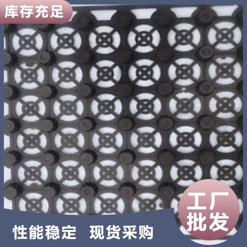 蓄排水板植草格厂家采购