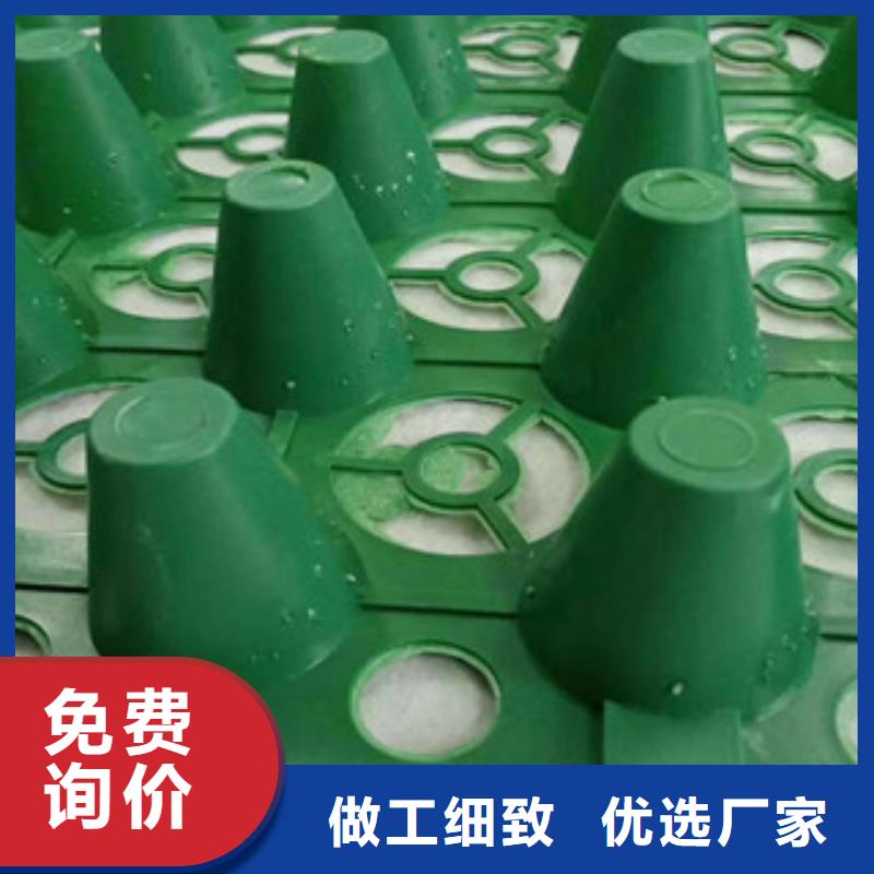蓄排水板_土工布厂家现货满足大量采购