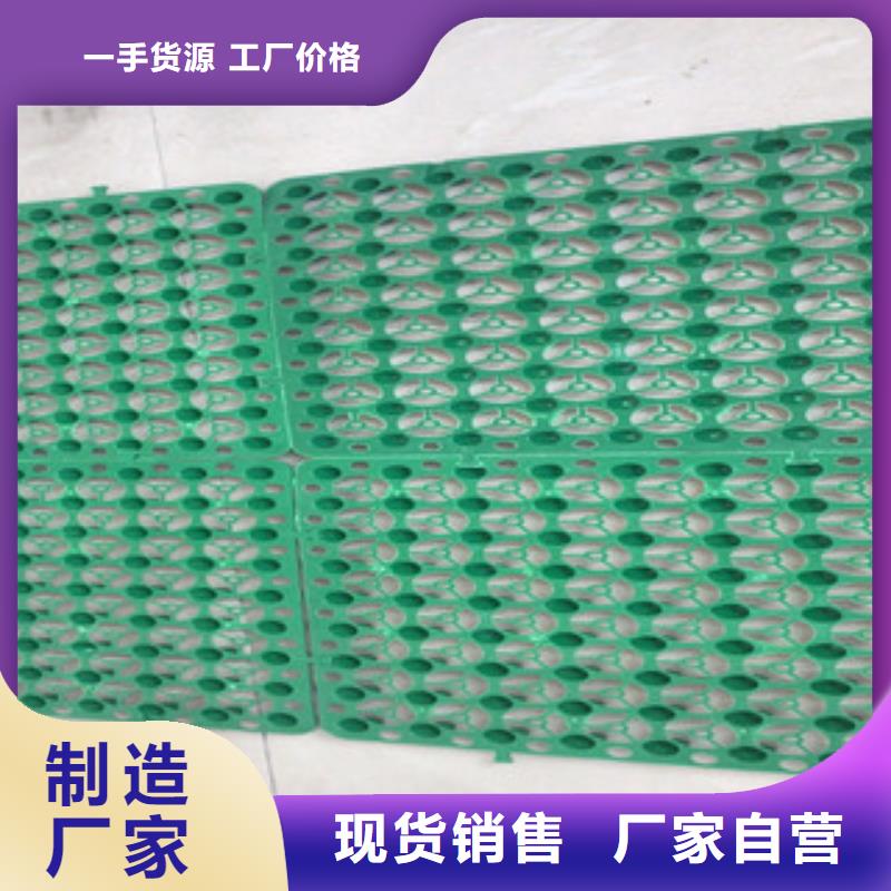 蓄排水板_土工布厂家支持加工定制