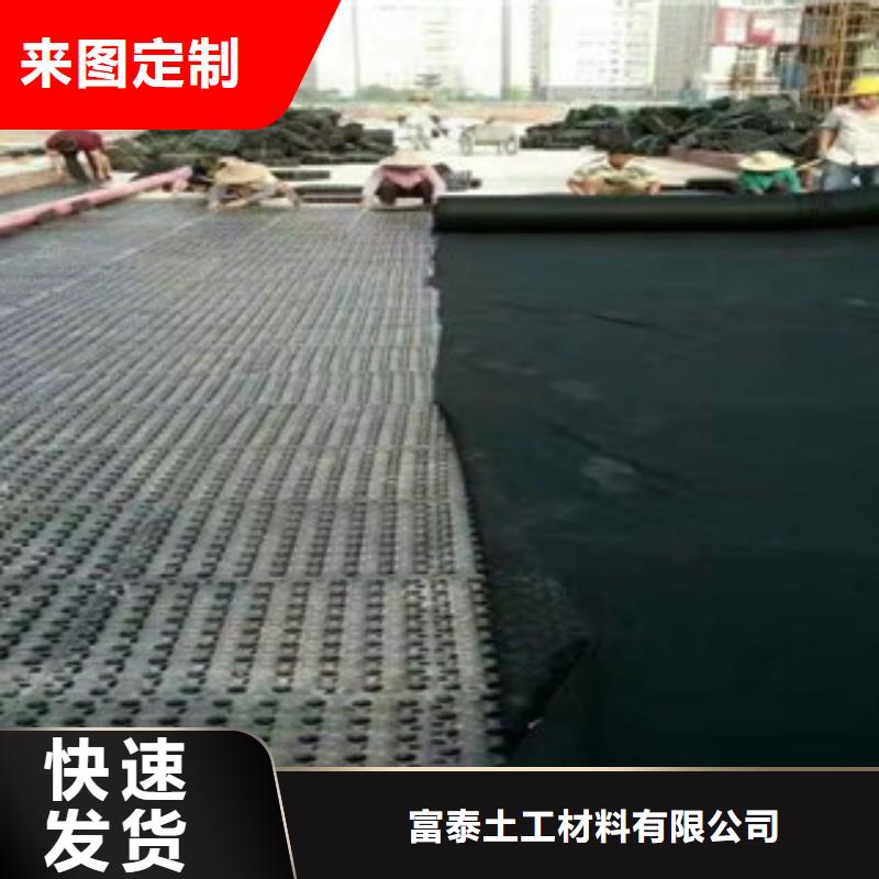 蓄排水板植草格厂家采购