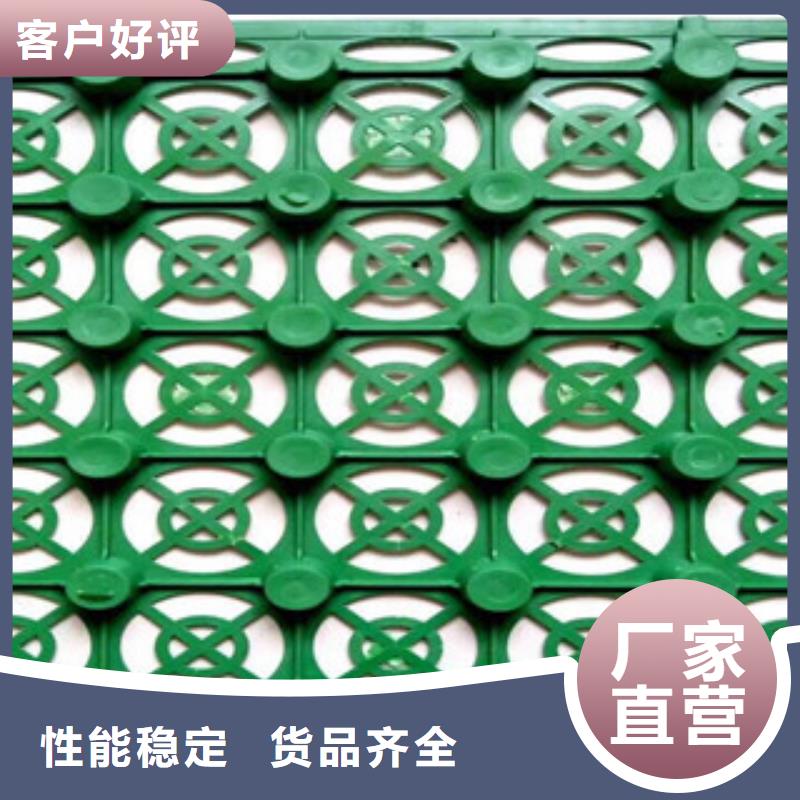 蓄排水板植草格厂家采购