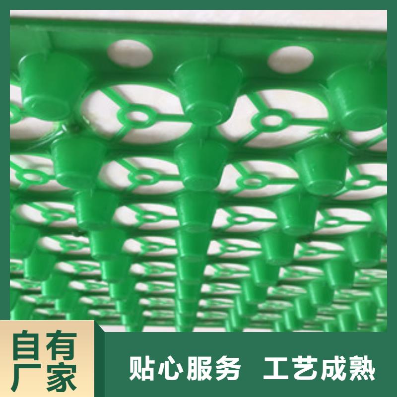 蓄排水板植草格厂家采购