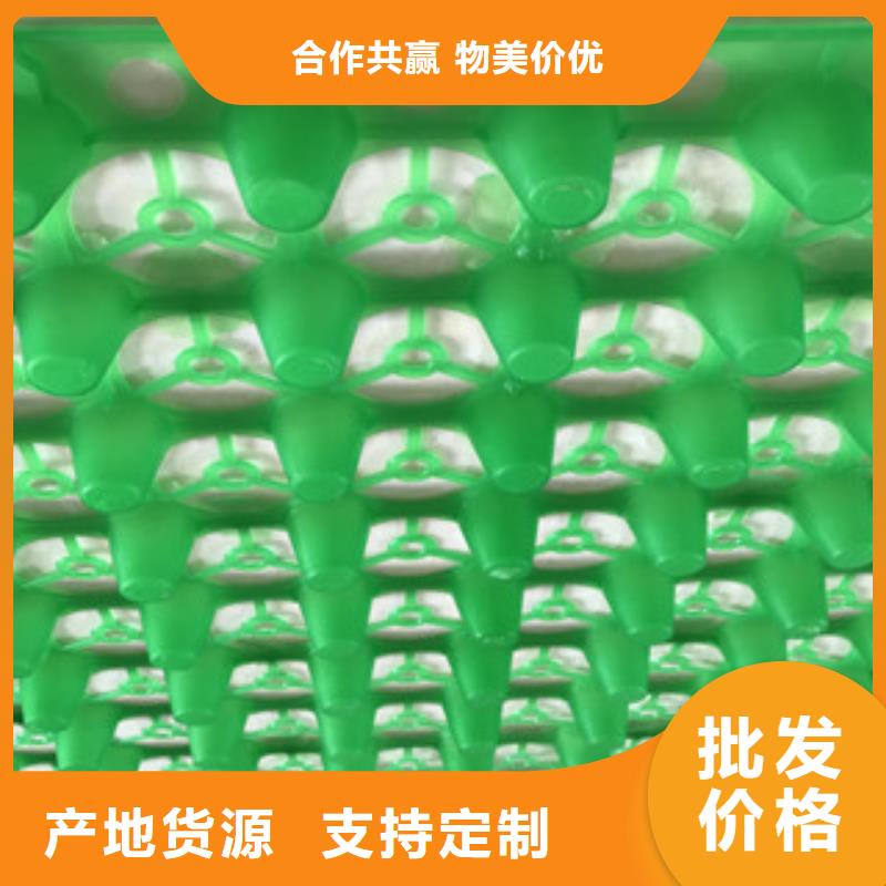 蓄排水板_土工布厂家现货满足大量采购